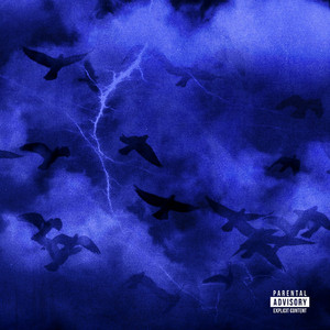 骆驼趾馒头视频大全高清版
