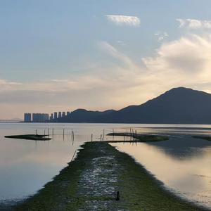 骆驼趾馒头视频大全高清版
