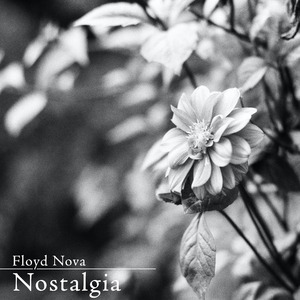 骆驼趾馒头视频大全高清版
